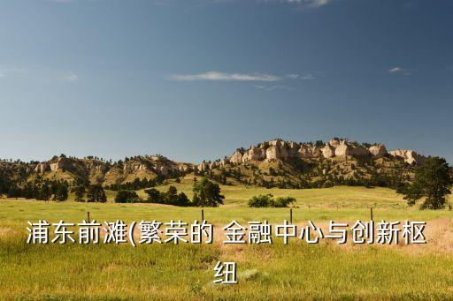 中國(guó)金融發(fā)展的重慶實(shí)踐,互聯(lián)網(wǎng)金融實(shí)踐發(fā)展出現(xiàn)問題的原因