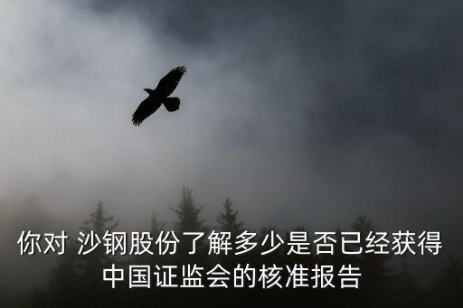 你對 沙鋼股份了解多少是否已經(jīng)獲得中國證監(jiān)會的核準報告