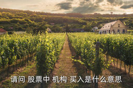 請(qǐng)問(wèn) 股票中 機(jī)構(gòu) 買(mǎi)入是什么意思