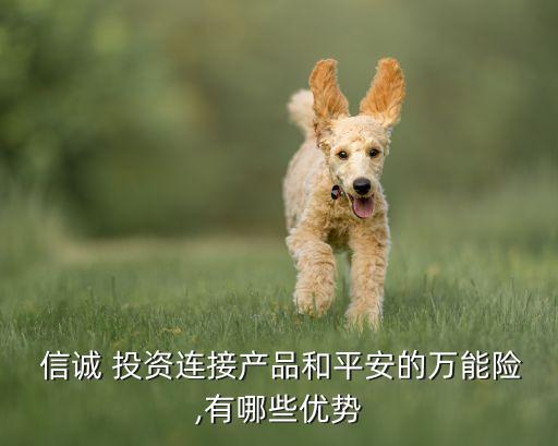  信誠(chéng) 投資連接產(chǎn)品和平安的萬能險(xiǎn),有哪些優(yōu)勢(shì)