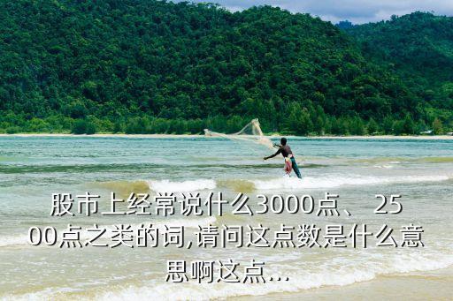 股市上經(jīng)常說什么3000點(diǎn)、 2500點(diǎn)之類的詞,請問這點(diǎn)數(shù)是什么意思啊這點(diǎn)...