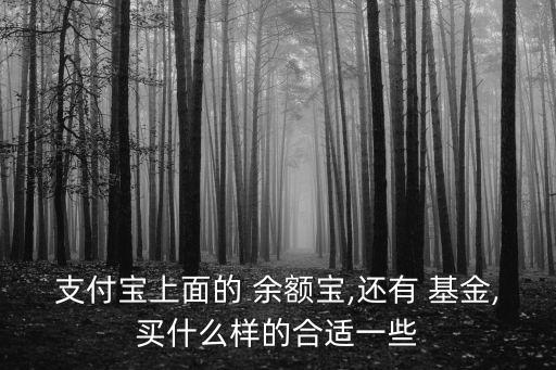 支付寶上面的 余額寶,還有 基金,買(mǎi)什么樣的合適一些
