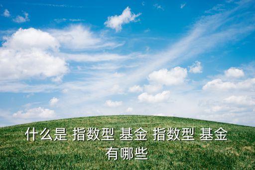 什么是 指數型 基金 指數型 基金有哪些