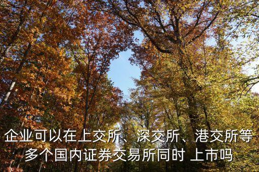 企業(yè)可以在上交所、深交所、港交所等多個(gè)國(guó)內(nèi)證券交易所同時(shí) 上市嗎