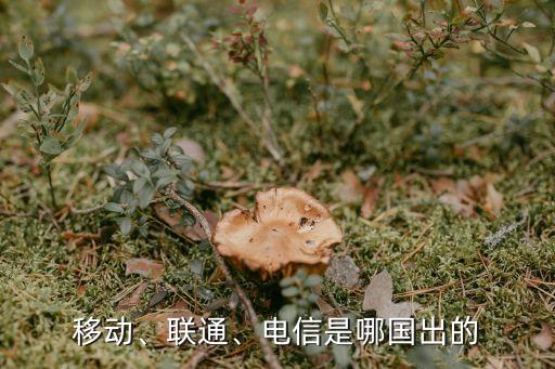 移動(dòng)、聯(lián)通、電信是哪國(guó)出的