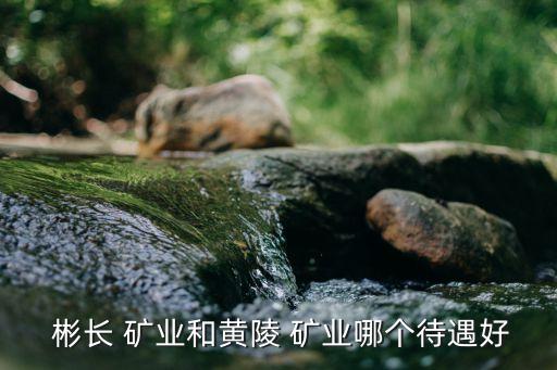陜西彬長(zhǎng)礦業(yè)集團(tuán)有限公司煤化工公司,2、陜西彬長(zhǎng)礦業(yè)集團(tuán)有限公司