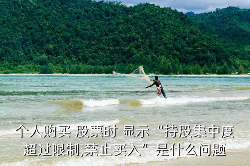個(gè)人購(gòu)買(mǎi) 股票時(shí) 顯示“持股集中度超過(guò)限制,禁止買(mǎi)入”是什么問(wèn)題