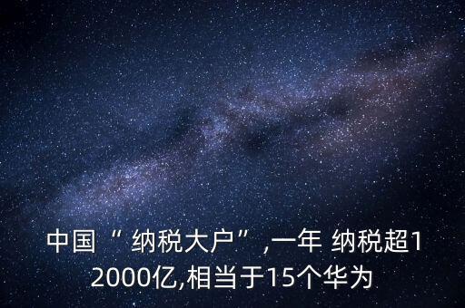 中國(guó)“ 納稅大戶(hù)”,一年 納稅超12000億,相當(dāng)于15個(gè)華為