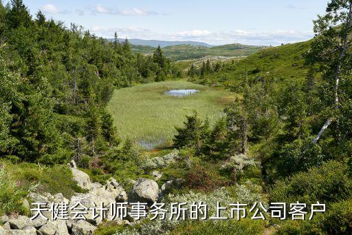  天健會計(jì)師事務(wù)所的上市公司客戶