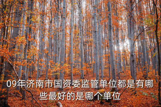 09年濟南市國資委監(jiān)管單位都是有哪些最好的是哪個單位