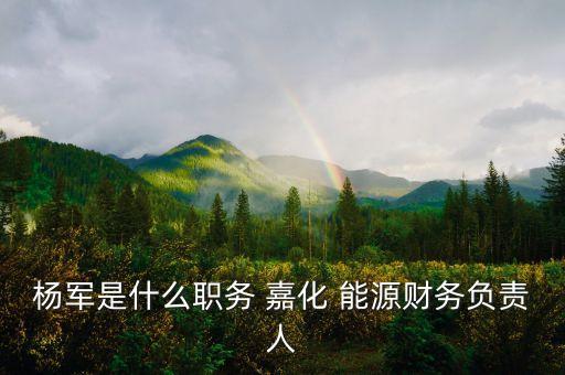 楊軍是什么職務(wù) 嘉化 能源財務(wù)負(fù)責(zé)人