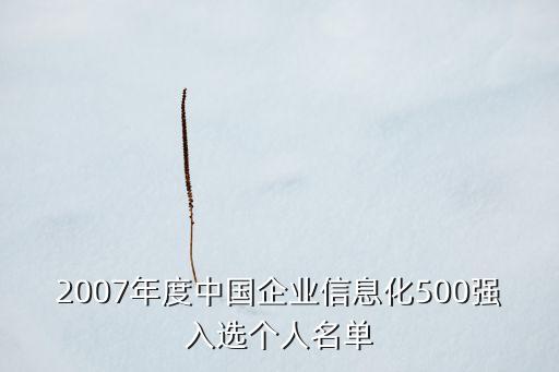 2007年度中國企業(yè)信息化500強(qiáng)入選個人名單