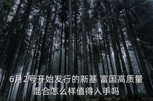 6月2號(hào)開始發(fā)行的新基 富國高質(zhì)量混合怎么樣值得入手嗎