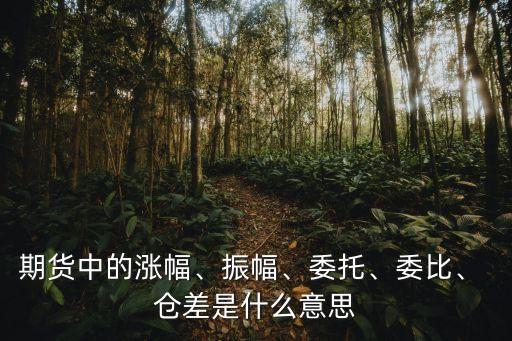 期貨中的漲幅、振幅、委托、委比、 倉差是什么意思