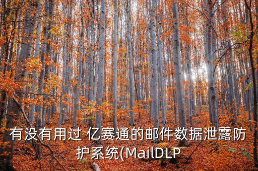 有沒有用過 億賽通的郵件數據泄露防護系統(tǒng)(MailDLP