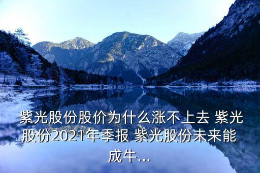  紫光股份股價(jià)為什么漲不上去 紫光股份2021年季報(bào) 紫光股份未來能成牛...