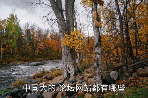 第三屆中國發(fā)展論壇,中國高質量發(fā)展論壇