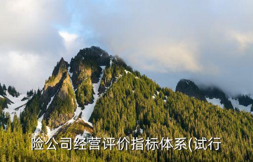 險公司經營評價指標體系(試行
