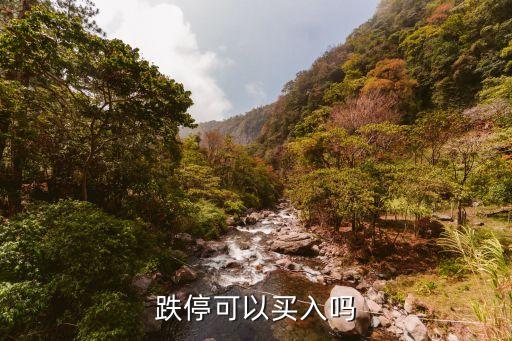 跌?？梢再I入嗎