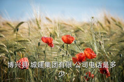 博興縣 城建集團(tuán)有限 公司電話(huà)是多少
