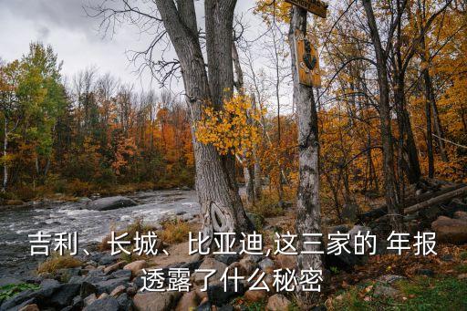 吉利、長城、比亞迪,這三家的 年報透露了什么秘密