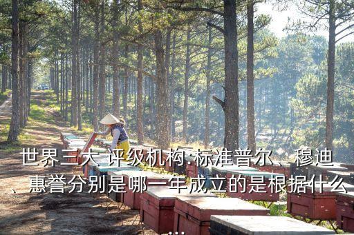 世界三大 評(píng)級(jí)機(jī)構(gòu):標(biāo)準(zhǔn)普爾、穆迪、惠譽(yù)分別是哪一年成立的是根據(jù)什么...