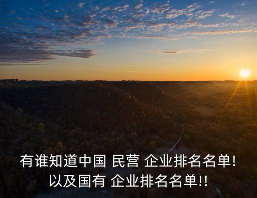 有誰知道中國(guó) 民營(yíng) 企業(yè)排名名單!以及國(guó)有 企業(yè)排名名單!!