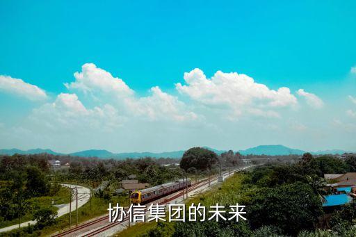 上海中城聯盟投資管理有限公司,中城光麗投資管理有限公司是民營還是國企