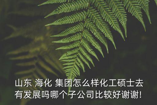  山東 ?；?集團怎么樣化工碩士去有發(fā)展嗎哪個子公司比較好謝謝!