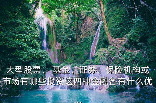 大型股票、 基金、證券、保險機構(gòu)或市場有哪些投資這四種金融各有什么優(yōu)...