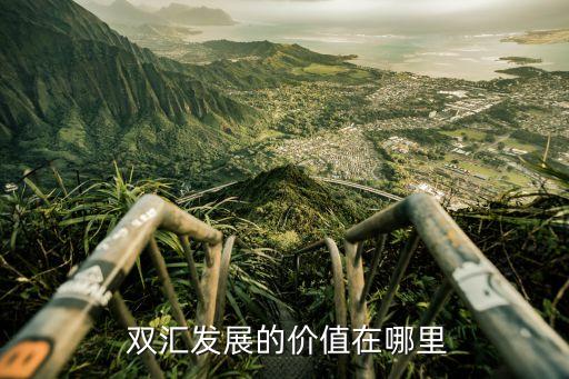 雙匯收購對(duì)中國市場(chǎng)