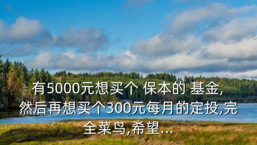 有5000元想買個 保本的 基金,然后再想買個300元每月的定投,完全菜鳥,希望...