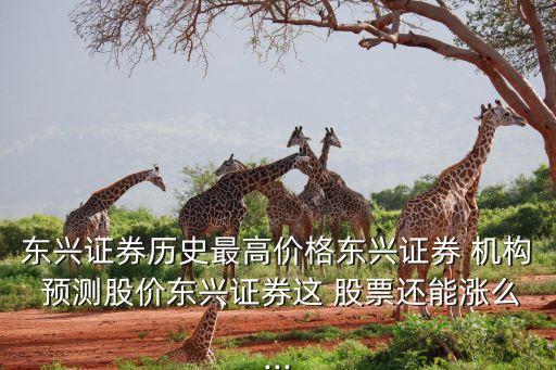 股票預(yù)測(cè)機(jī)構(gòu),天干地支預(yù)測(cè)股票