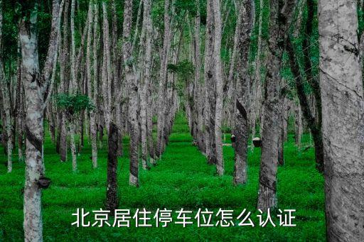 北京個(gè)人申請(qǐng)停車場(chǎng),申請(qǐng)停車場(chǎng)需要什么手續(xù)