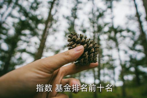  指數 基金排名前十名
