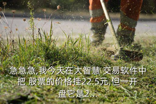 急急急,我今天在大智慧 交易軟件中把 股票的價(jià)格掛22.5元,但一開(kāi)盤它是2...