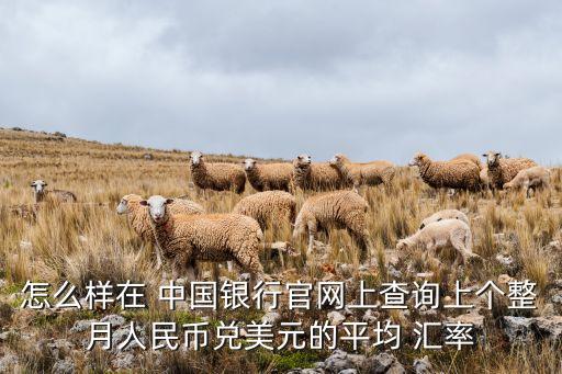 1月中國(guó)銀行匯率,中國(guó)銀行匯率查詢(xún)今日價(jià)格