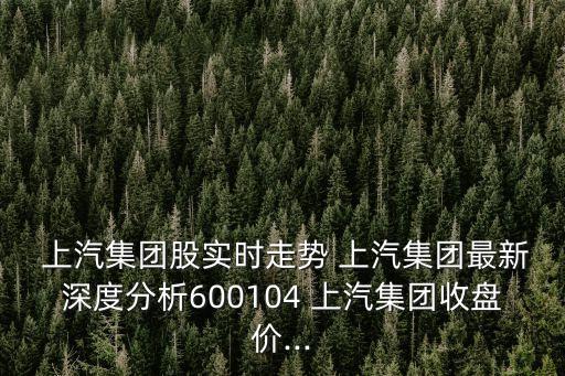  上汽集團(tuán)股實(shí)時(shí)走勢 上汽集團(tuán)最新深度分析600104 上汽集團(tuán)收盤價(jià)...