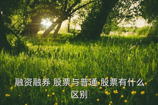 融資融券類(lèi)股票