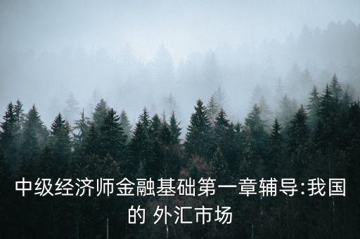 中級(jí)經(jīng)濟(jì)師金融基礎(chǔ)第一章輔導(dǎo):我國的 外匯市場(chǎng)