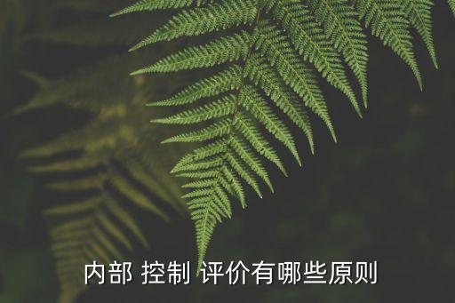 集團(tuán)性企業(yè)內(nèi)部控制重點評價范圍,企業(yè)成本費用內(nèi)部控制的重點在于