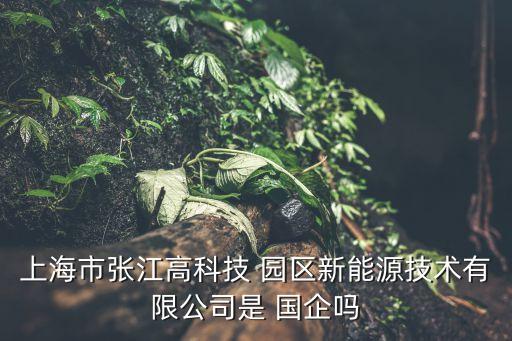 大變局下的上海園區(qū)開(kāi)發(fā)類國(guó)企的危與機(jī)