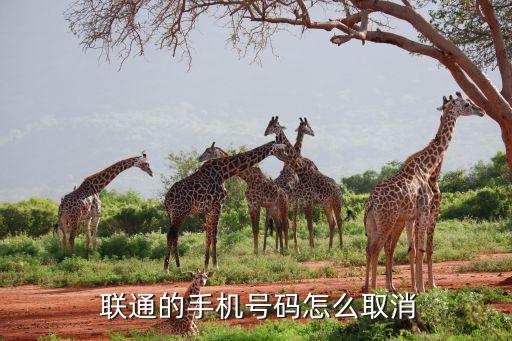 聯(lián)通集團號怎么關(guān)閉,聯(lián)通怎么加入集團網(wǎng)