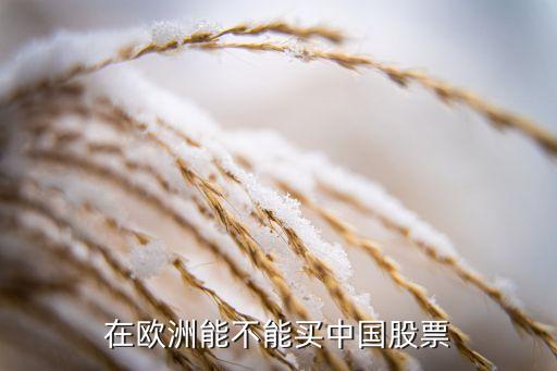 在歐洲能不能買(mǎi)中國(guó)股票