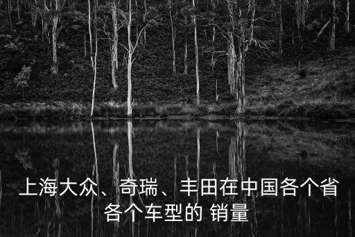  上海大眾、奇瑞、豐田在中國(guó)各個(gè)省各個(gè)車(chē)型的 銷(xiāo)量