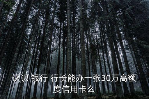 認(rèn)識(shí) 銀行 行長能辦一張30萬高額度信用卡么