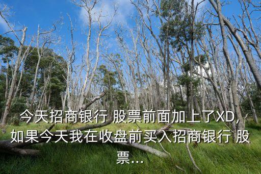 今天招商銀行 股票前面加上了XD,如果今天我在收盤(pán)前買入招商銀行 股票...