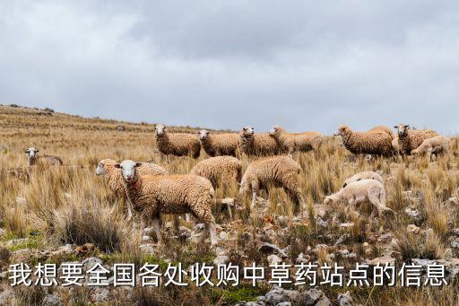 我想要全國各處收購中草藥站點(diǎn)的信息