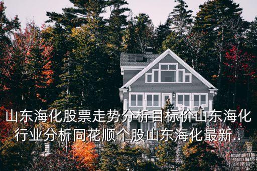 山東?；善弊邉?shì)分析目標(biāo)價(jià)山東海化行業(yè)分析同花順個(gè)股山東?；钚?..