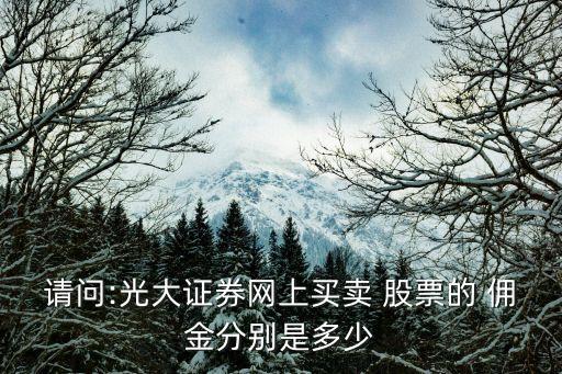 請問:光大證券網上買賣 股票的 傭金分別是多少